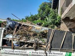 Best Residential Junk Removal  in Newk, AR